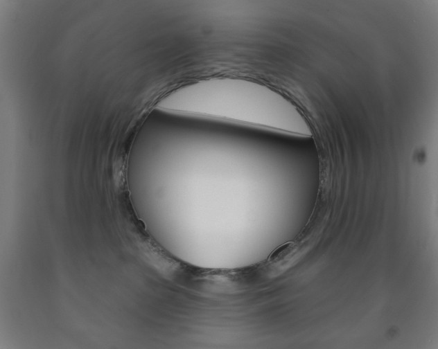 X0000093250285200709261603