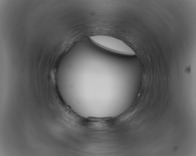 X0000093250286200709261603