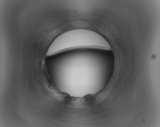 X0000093250288200709261603