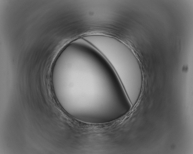 X0000093250289200709261603