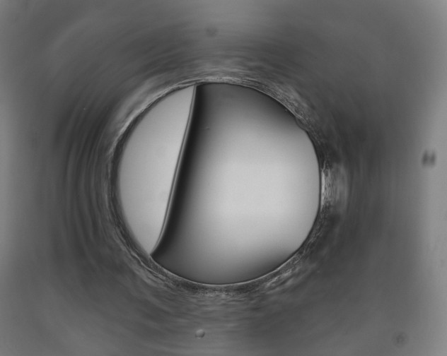 X0000093250291200709261603