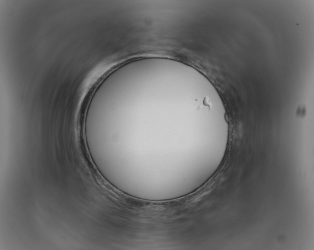 X0000093250294200709261603