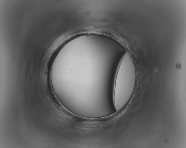 X0000093250295200709261603