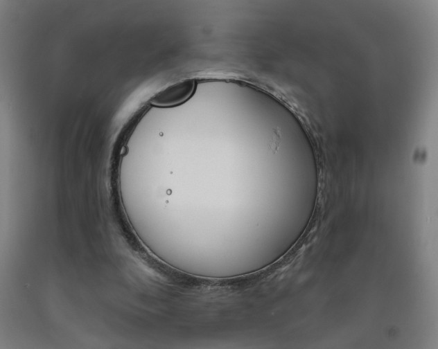 X0000093250296200709261603