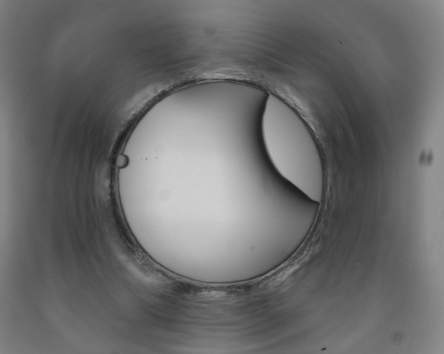 X0000093250298200709261603