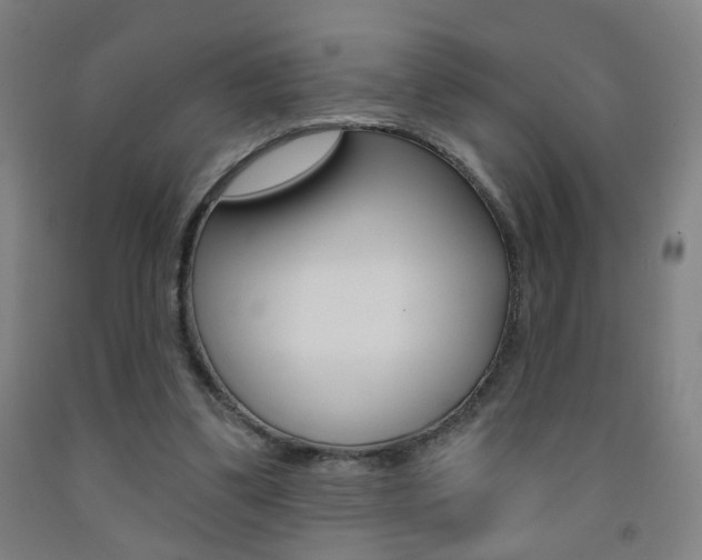 X0000093250299200709261603