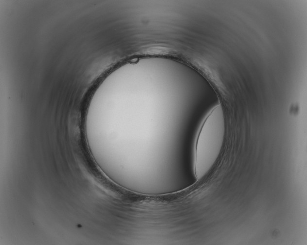 X0000093250300200709261603