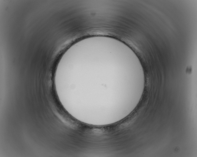 X0000093250302200709261603