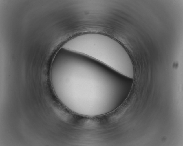 X0000093250303200709261603