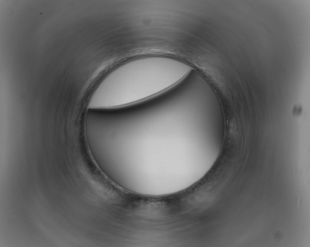 X0000093250304200709261603