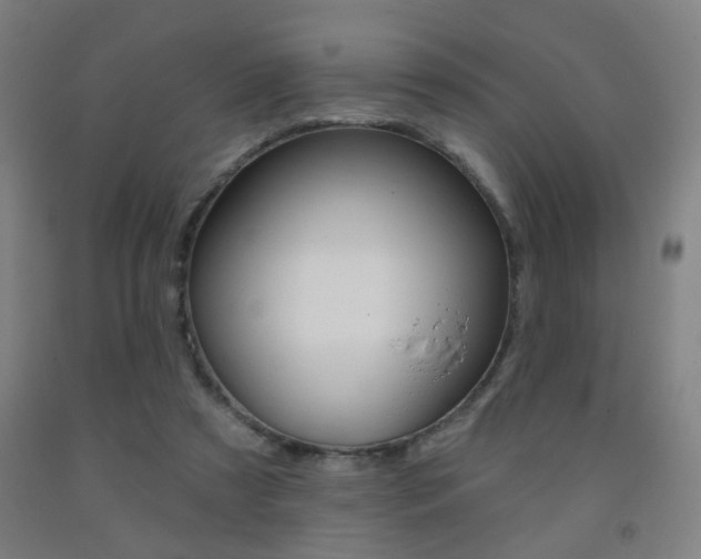 X0000093250305200709261603