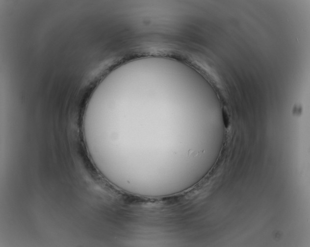 X0000093250306200709261603