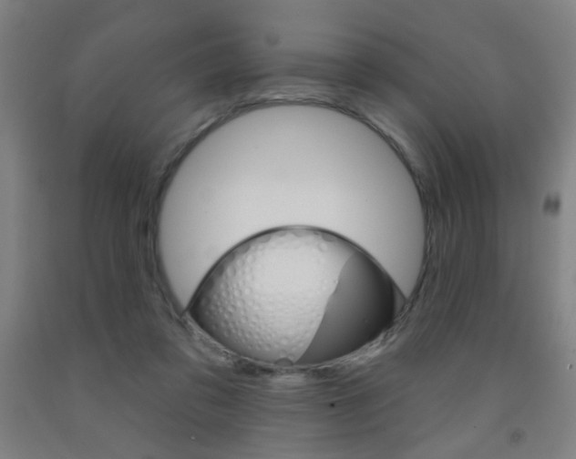 X0000093250309200709261603