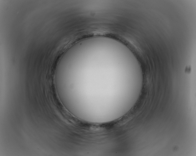 X0000093250311200709261602