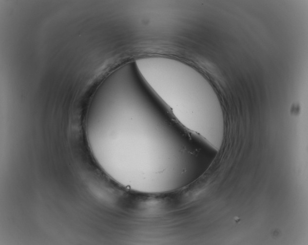 X0000093250312200709261602