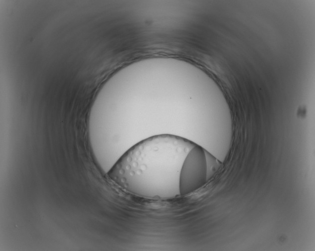 X0000093250317200709261602