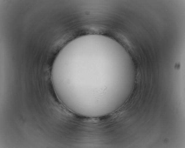 X0000093250318200709261602