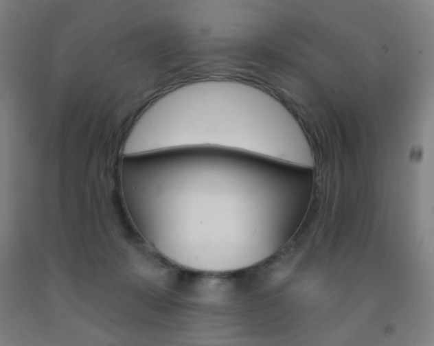 X0000093250319200709261602