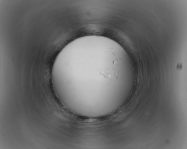 X0000093250320200709261602