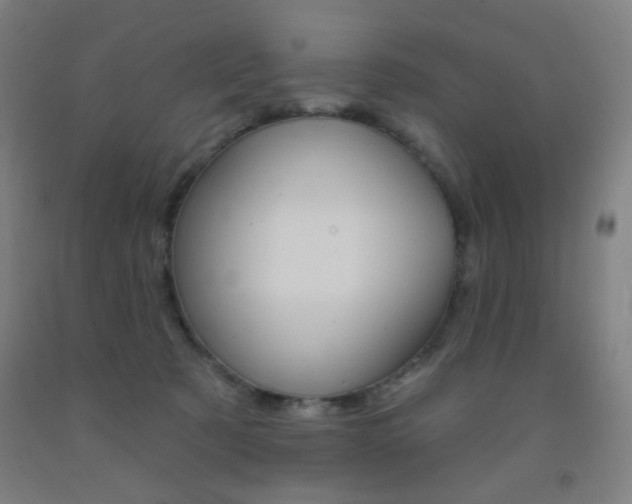 X0000093250321200709261602