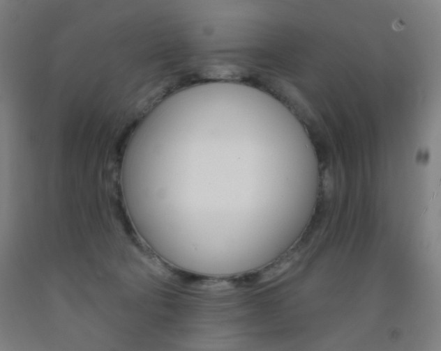 X0000093250322200709261602