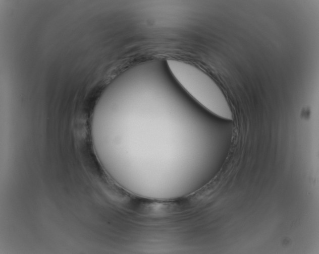 X0000093250323200709261602