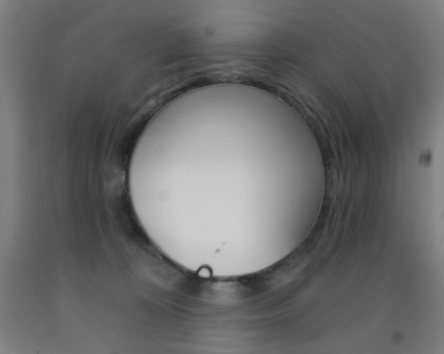 X0000093250324200709261602