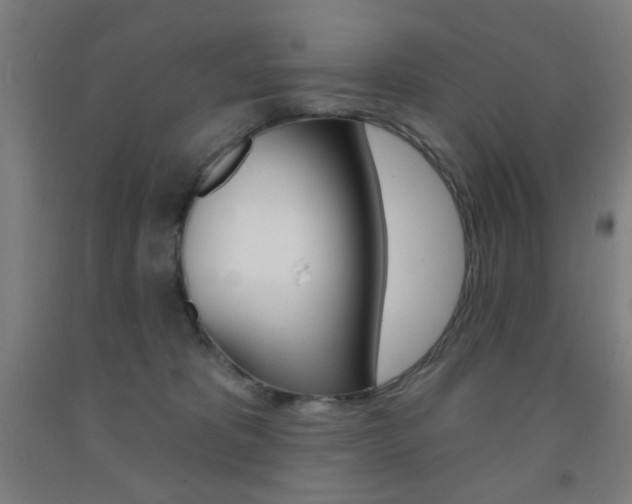 X0000093250325200709261602