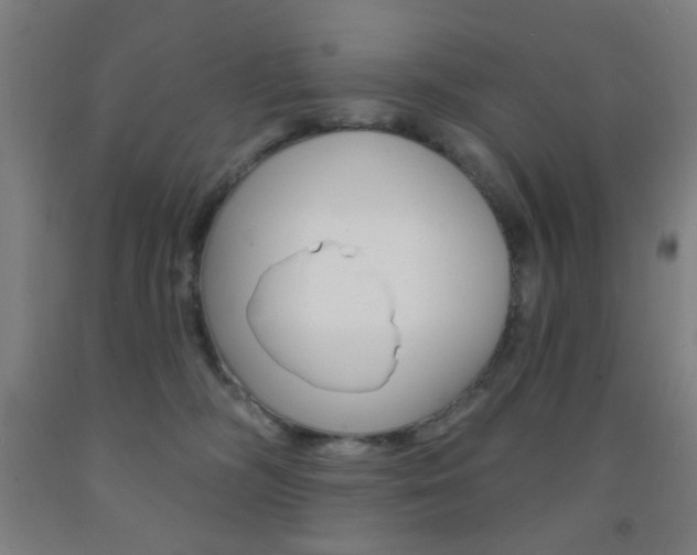 X0000093250326200709261602