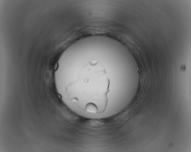 X0000093250327200709261602