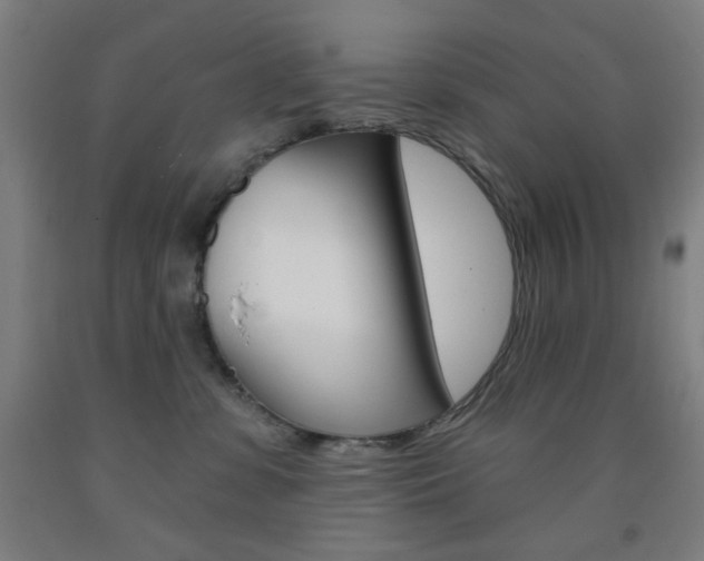 X0000093250331200709261602