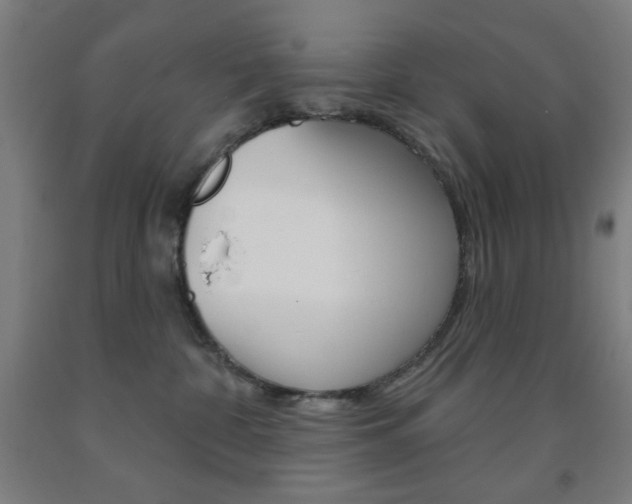 X0000093250332200709261602