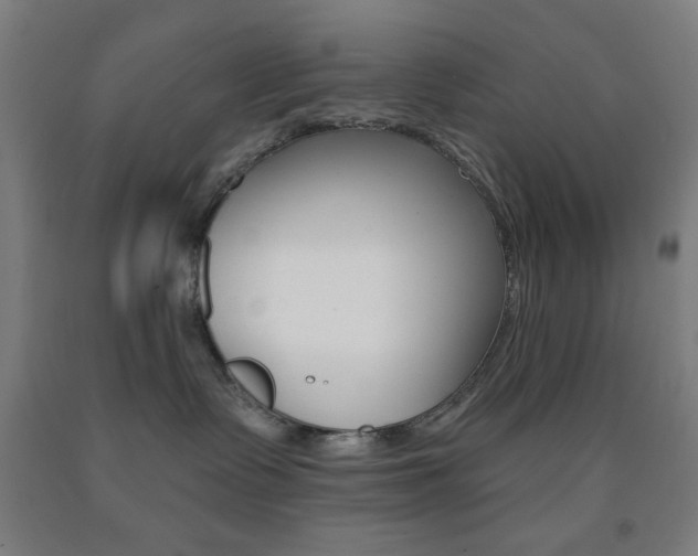 X0000093250335200709261602