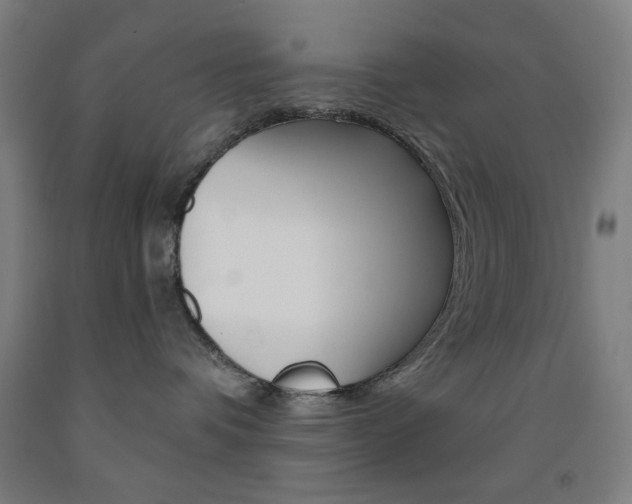 X0000093250336200709261602