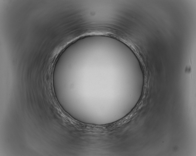 X0000093250337200709261601