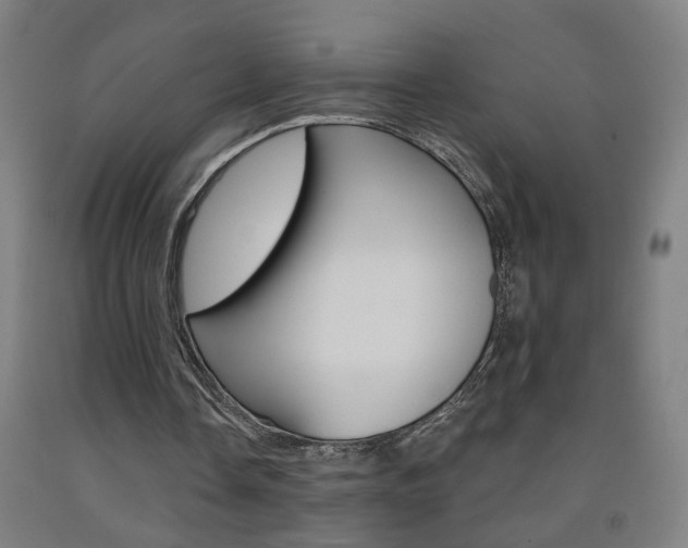 X0000093250338200709261601