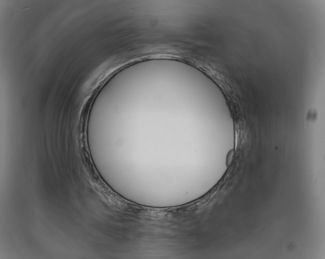 X0000093250339200709261601