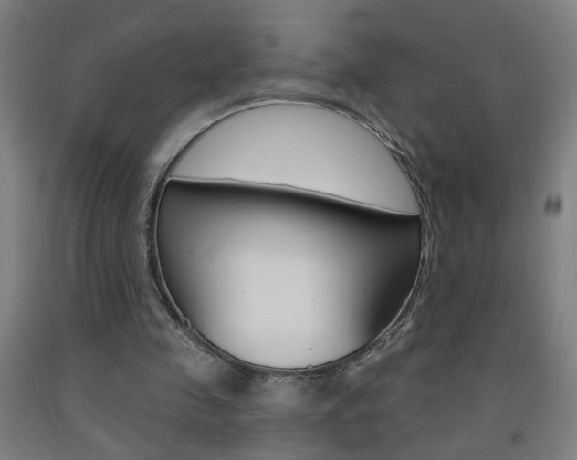 X0000093250341200709261601