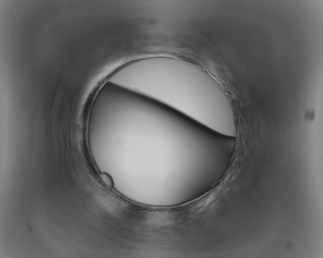 X0000093250342200709261601