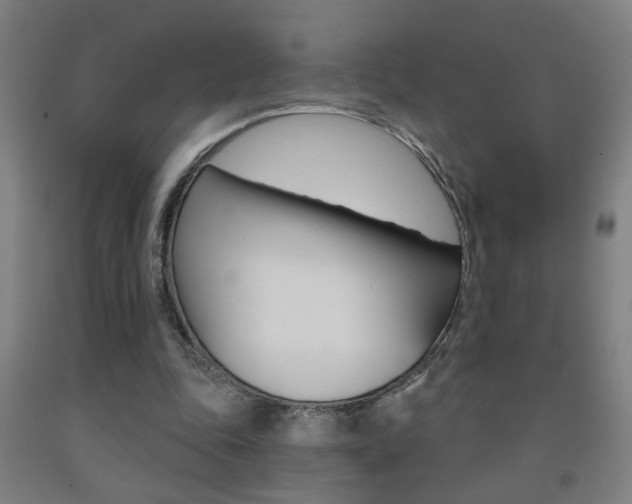X0000093250343200709261601