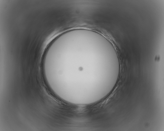 X0000093250344200709261601