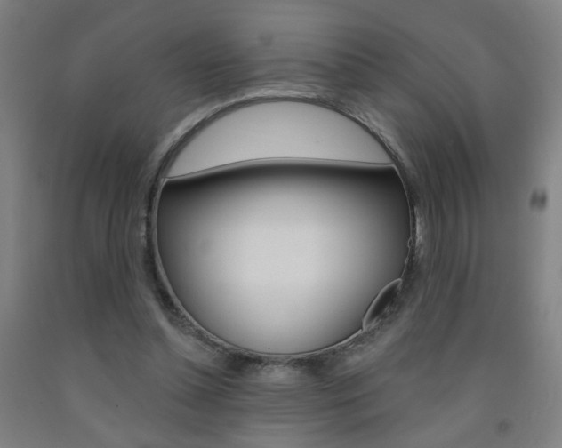 X0000093250348200709261602
