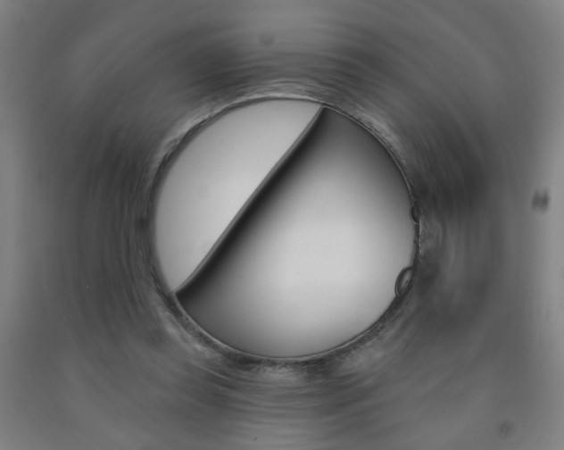 X0000093250349200709261602