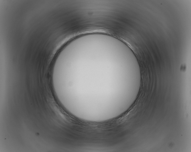 X0000093250350200709261602