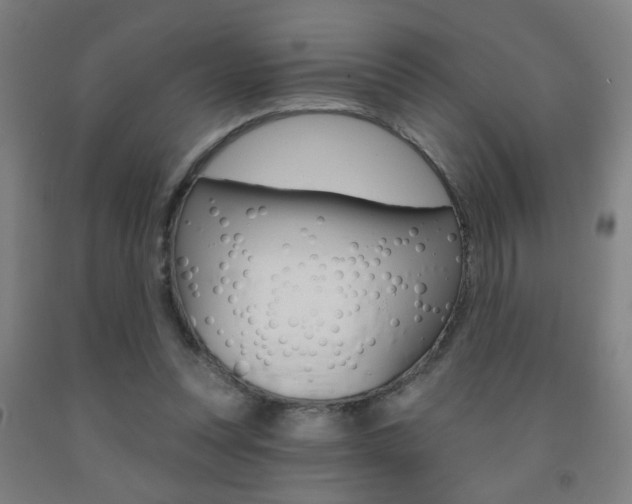 X0000093250351200709261602