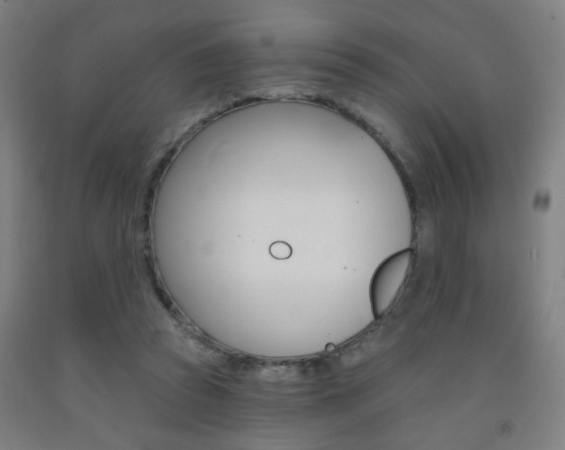 X0000093250353200709261602