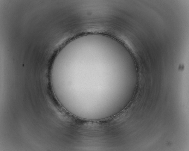 X0000093250354200709261602