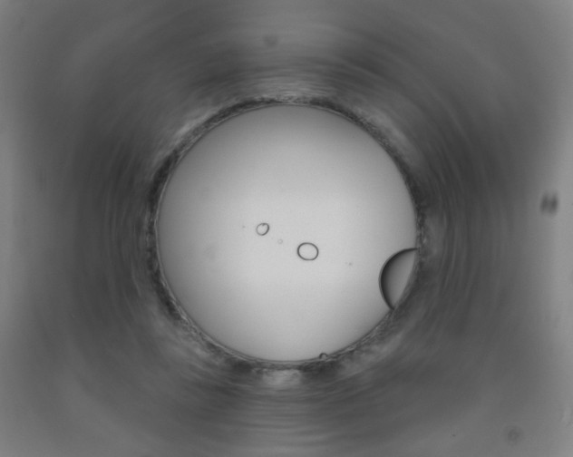 X0000093250355200709261602