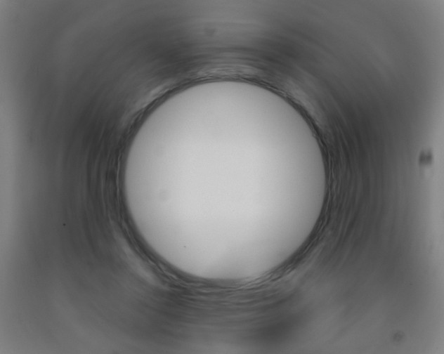 X0000093250356200709261602