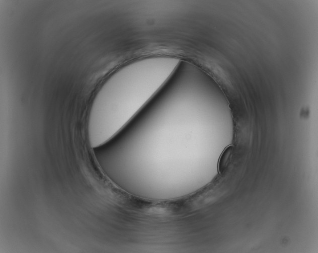 X0000093250358200709261602